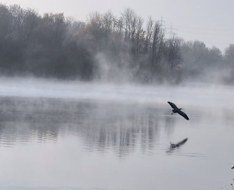 Foto: Kalle Gajewsky